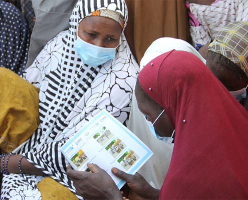 Women at a user-testing session in Niger