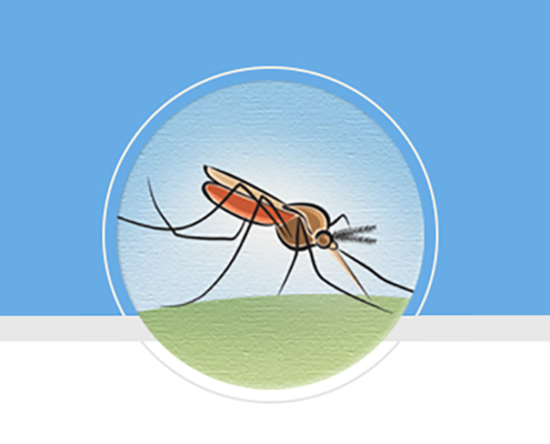 mosquito graphic