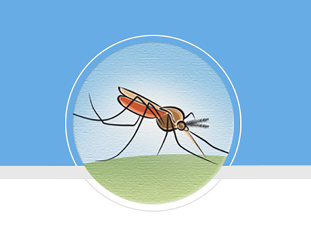 mosquito graphic